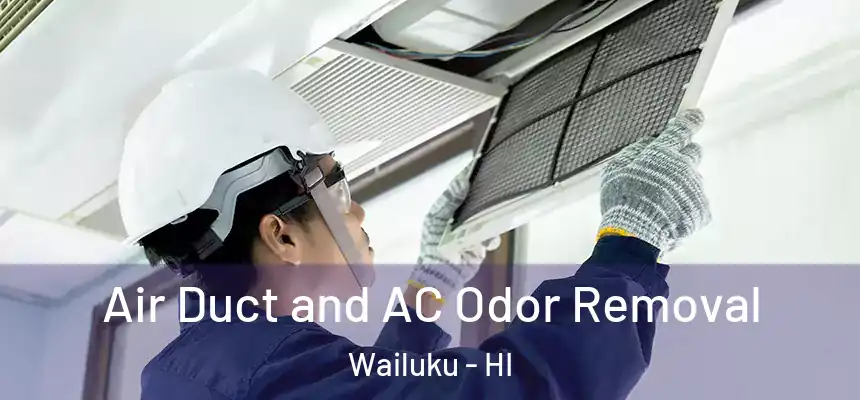  Air Duct and AC Odor Removal Wailuku - HI