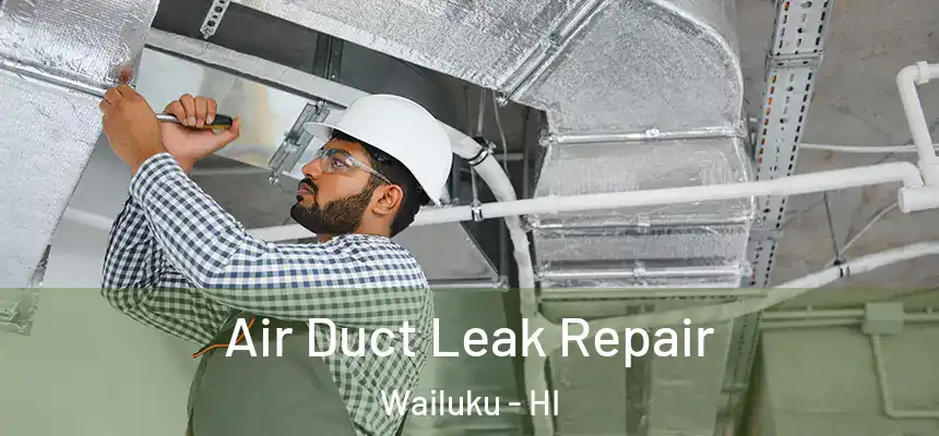  Air Duct Leak Repair Wailuku - HI
