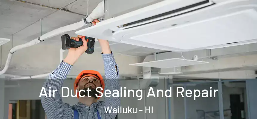 Air Duct Sealing And Repair Wailuku - HI
