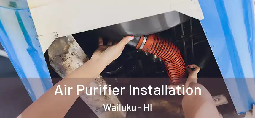  Air Purifier Installation Wailuku - HI