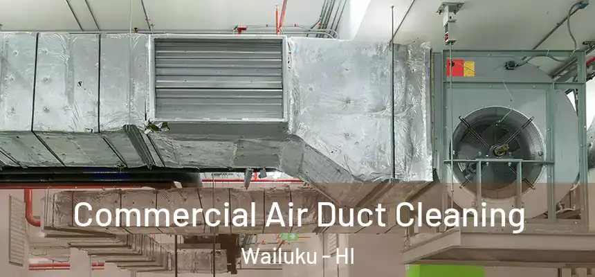 Commercial Air Duct Cleaning Wailuku - HI
