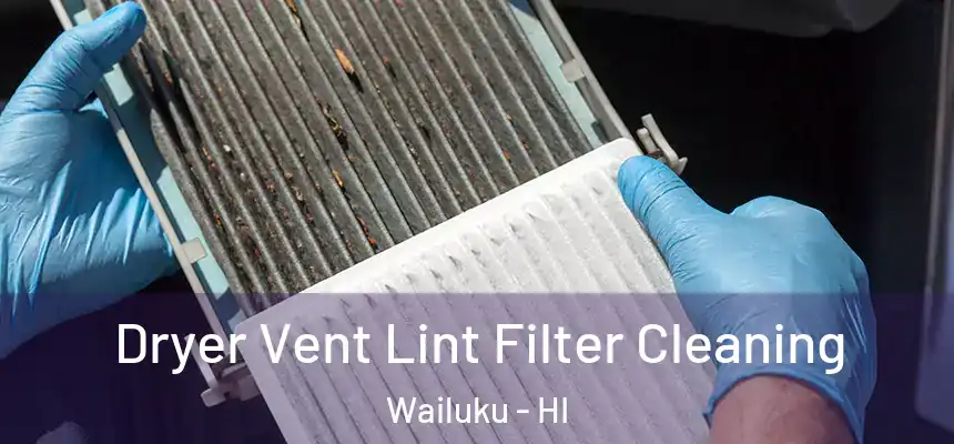  Dryer Vent Lint Filter Cleaning Wailuku - HI