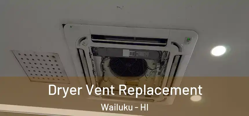  Dryer Vent Replacement Wailuku - HI