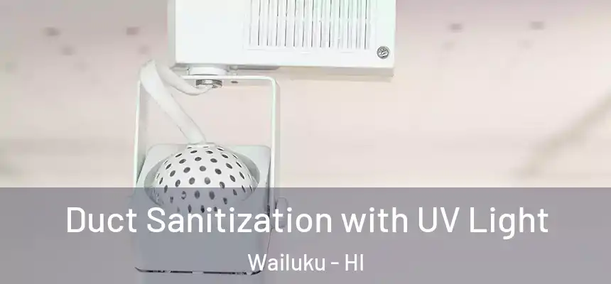  Duct Sanitization with UV Light Wailuku - HI