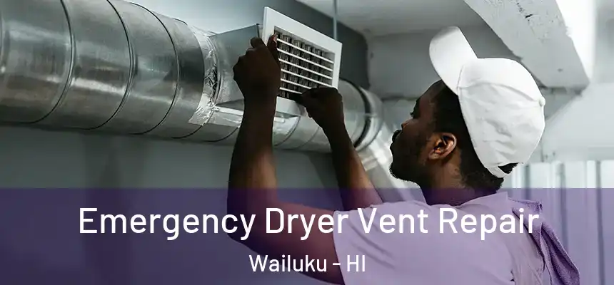  Emergency Dryer Vent Repair Wailuku - HI