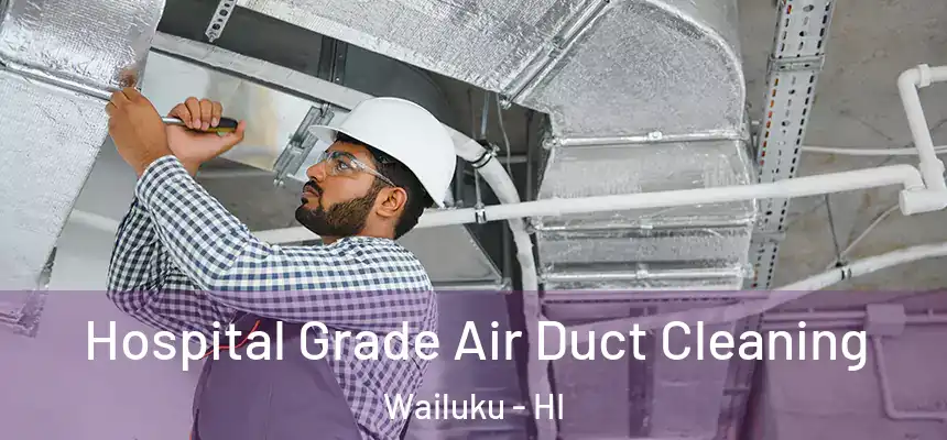  Hospital Grade Air Duct Cleaning Wailuku - HI