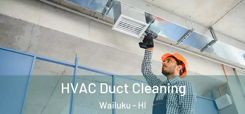  HVAC Duct Cleaning Wailuku - HI