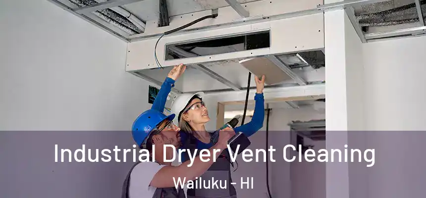  Industrial Dryer Vent Cleaning Wailuku - HI