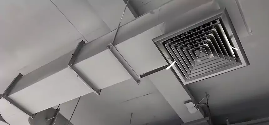 Restorative Allergy Relief Vent Cleaning – Coil, Blower & Housing Detail in Wailuku