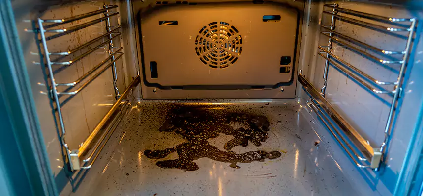 Our Dryer Vent Mold Cleaning Services in Wailuku, HI