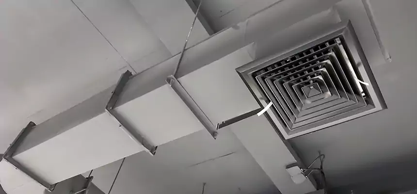 Our Pest Removal From Ducts Services in Wailuku, HI