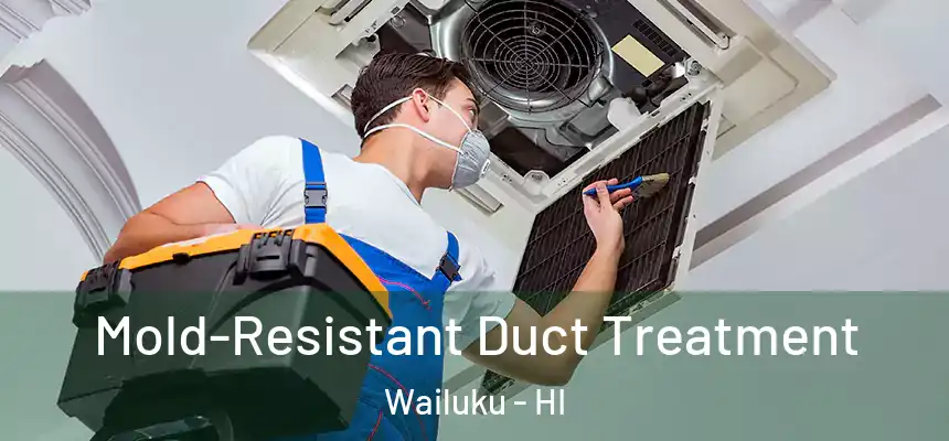  Mold-Resistant Duct Treatment Wailuku - HI