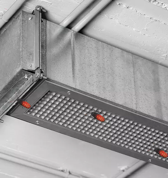 About Air Duct Cockroach Removal in Wailuku, HI