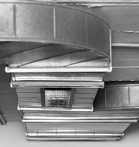 Professional Air Duct Pest Removal in Wailuku, HI