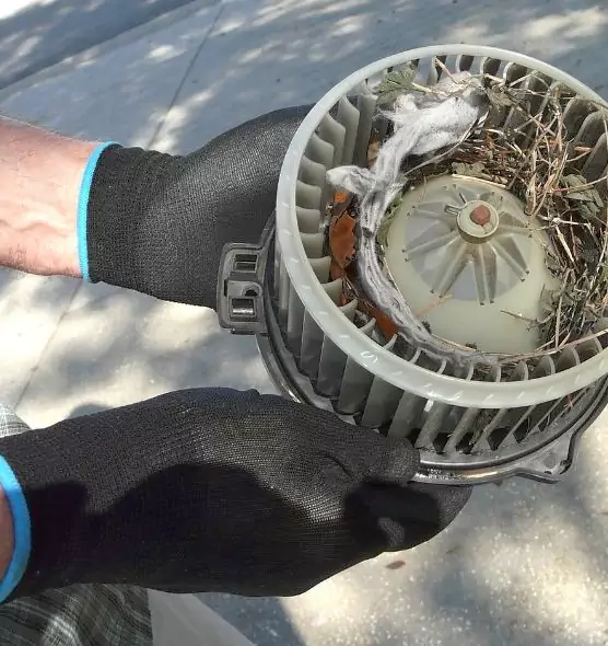 About Air Duct Rat Removal in Wailuku, HI