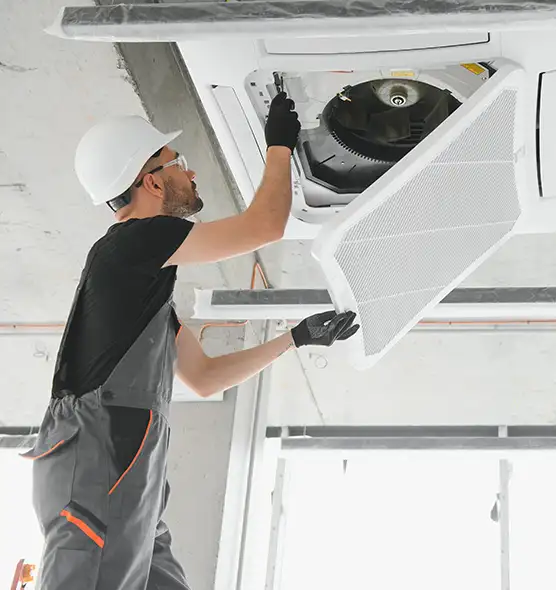 About Air Duct Rodent Removal in Wailuku, HI