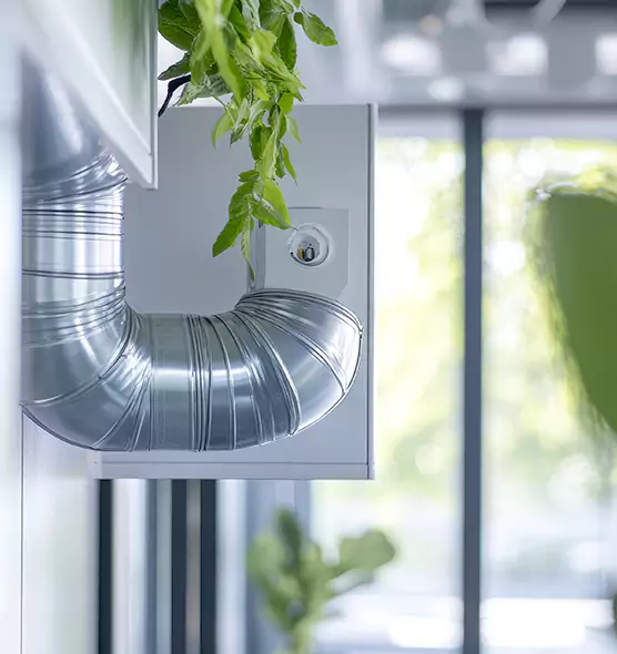 Professional Eco-Safe Dryer Vent Cleaning in Wailuku, HI