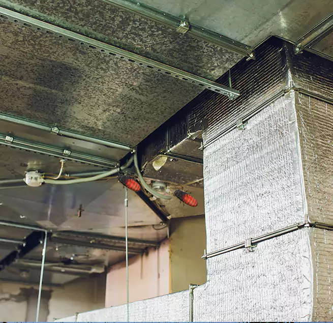 Why Homeowners & Businesses Trust Us in Wailuku, HI?