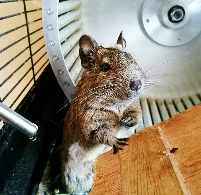 Why Homeowners & Businesses Trust Us Wailuku, HI?