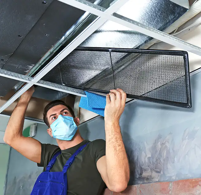 Why Homeowners & Businesses Trust Us in Wailuku, HI?