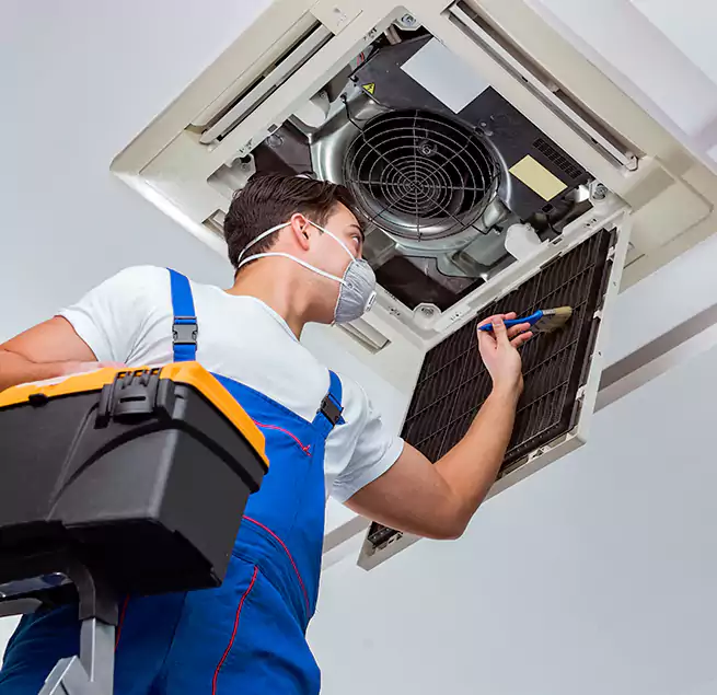 Why Homeowners & Businesses Trust Us in Wailuku, HI?