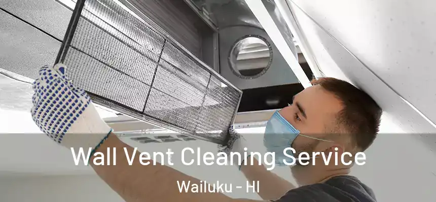  Wall Vent Cleaning Service Wailuku - HI