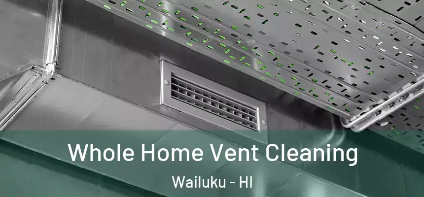  Whole Home Vent Cleaning Wailuku - HI